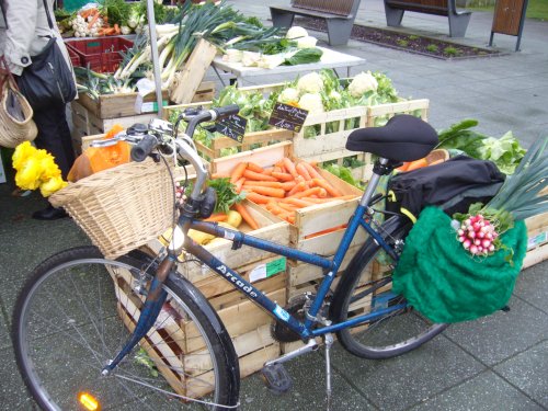 Faire ses courses à vélo