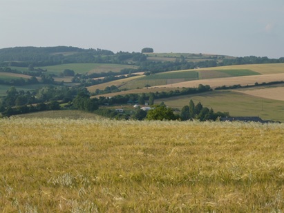 Yuba Boys - Le champ