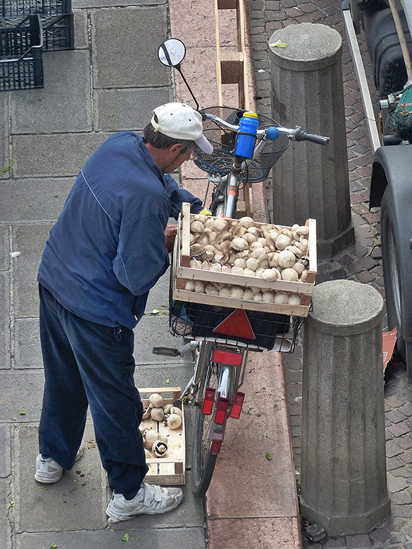 Vénétie Italie Vénétie Italie